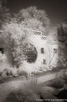 Tropical Garden, Palm Beach #YNG-135.  Infrared Photograph,  Stretched and Gallery Wrapped, Limited Edition Archival Print on Canvas:  40 x 60 inches, $1590.  Custom Proportions and Sizes are Available.  For more information or to order please visit our ABOUT page or call us at 561-691-1110.