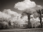 Lighthouse , Jupiter  #YNG-603.  Infrared Photograph,  Stretched and Gallery Wrapped, Limited Edition Archival Print on Canvas:  56 x 40 inches, $1590.  Custom Proportions and Sizes are Available.  For more information or to order please visit our ABOUT page or call us at 561-691-1110.