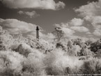 Lighthouse , Jupiter  #YNG-608.  Infrared Photograph,  Stretched and Gallery Wrapped, Limited Edition Archival Print on Canvas:  56 x 40 inches, $1590.  Custom Proportions and Sizes are Available.  For more information or to order please visit our ABOUT page or call us at 561-691-1110.