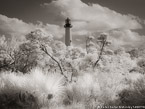Lighthouse , Jupiter  #YNG-610.  Infrared Photograph,  Stretched and Gallery Wrapped, Limited Edition Archival Print on Canvas:  56 x 40 inches, $1590.  Custom Proportions and Sizes are Available.  For more information or to order please visit our ABOUT page or call us at 561-691-1110.