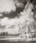 Intracoastal , Palm Beach #YNG-615.  Infrared Photograph,  Stretched and Gallery Wrapped, Limited Edition Archival Print on Canvas:  40 x 48 inches, $1560.  Custom Proportions and Sizes are Available.  For more information or to order please visit our ABOUT page or call us at 561-691-1110.
