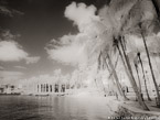Intracoastal , Palm Beach #YNG-619.  Infrared Photograph,  Stretched and Gallery Wrapped, Limited Edition Archival Print on Canvas:  56 x 40 inches, $1590.  Custom Proportions and Sizes are Available.  For more information or to order please visit our ABOUT page or call us at 561-691-1110.