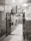 Gate , Palm Beach #YNG-627.  Infrared Photograph,  Stretched and Gallery Wrapped, Limited Edition Archival Print on Canvas:  40 x 56 inches, $1590.  Custom Proportions and Sizes are Available.  For more information or to order please visit our ABOUT page or call us at 561-691-1110.