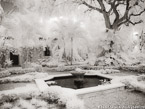Tropical Garden, Palm Beach #YNG-654.  Infrared Photograph,  Stretched and Gallery Wrapped, Limited Edition Archival Print on Canvas:  56 x 40 inches, $1590.  Custom Proportions and Sizes are Available.  For more information or to order please visit our ABOUT page or call us at 561-691-1110.