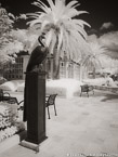 Tropical Garden, Palm Beach #YNG-661.  Infrared Photograph,  Stretched and Gallery Wrapped, Limited Edition Archival Print on Canvas:  40 x 56 inches, $1590.  Custom Proportions and Sizes are Available.  For more information or to order please visit our ABOUT page or call us at 561-691-1110.