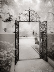 Gate , Palm Beach #YNG-668.  Infrared Photograph,  Stretched and Gallery Wrapped, Limited Edition Archival Print on Canvas:  40 x 56 inches, $1590.  Custom Proportions and Sizes are Available.  For more information or to order please visit our ABOUT page or call us at 561-691-1110.