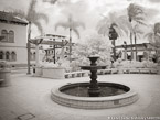 Tropical Garden, Palm Beach #YNG-674.  Infrared Photograph,  Stretched and Gallery Wrapped, Limited Edition Archival Print on Canvas:  56 x 40 inches, $1590.  Custom Proportions and Sizes are Available.  For more information or to order please visit our ABOUT page or call us at 561-691-1110.