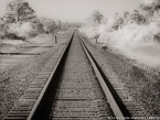 Railway , Jupiter  #YNG-729.  Infrared Photograph,  Stretched and Gallery Wrapped, Limited Edition Archival Print on Canvas:  56 x 40 inches, $1590.  Custom Proportions and Sizes are Available.  For more information or to order please visit our ABOUT page or call us at 561-691-1110.