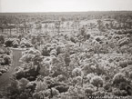 Fields , Jupiter  #YNG-733.  Infrared Photograph,  Stretched and Gallery Wrapped, Limited Edition Archival Print on Canvas:  56 x 40 inches, $1590.  Custom Proportions and Sizes are Available.  For more information or to order please visit our ABOUT page or call us at 561-691-1110.