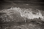 Ocean Waves,   #YNS-450.  Black-White Photograph,  Stretched and Gallery Wrapped, Limited Edition Archival Print on Canvas:  60 x 40 inches, $1590.  Custom Proportions and Sizes are Available.  For more information or to order please visit our ABOUT page or call us at 561-691-1110.