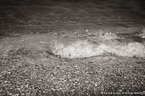 Ocean Waves,   #YNS-459.  Black-White Photograph,  Stretched and Gallery Wrapped, Limited Edition Archival Print on Canvas:  60 x 40 inches, $1590.  Custom Proportions and Sizes are Available.  For more information or to order please visit our ABOUT page or call us at 561-691-1110.