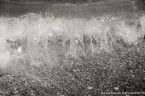 Ocean Waves,   #YNS-463.  Black-White Photograph,  Stretched and Gallery Wrapped, Limited Edition Archival Print on Canvas:  60 x 40 inches, $1590.  Custom Proportions and Sizes are Available.  For more information or to order please visit our ABOUT page or call us at 561-691-1110.