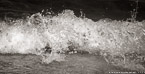 Ocean Waves,   #YNS-470.  Black-White Photograph,  Stretched and Gallery Wrapped, Limited Edition Archival Print on Canvas:  68 x 24 inches, $1560.  Custom Proportions and Sizes are Available.  For more information or to order please visit our ABOUT page or call us at 561-691-1110.