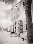 , Palm Beach #YNL-306.  Infrared Photograph,  Stretched and Gallery Wrapped, Limited Edition Archival Print on Canvas:  40 x 56 inches, $1590.  Custom Proportions and Sizes are Available.  For more information or to order please visit our ABOUT page or call us at 561-691-1110.