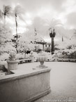 Tropical Garden, Palm Beach #YNL-314.  Infrared Photograph,  Stretched and Gallery Wrapped, Limited Edition Archival Print on Canvas:  40 x 56 inches, $1590.  Custom Proportions and Sizes are Available.  For more information or to order please visit our ABOUT page or call us at 561-691-1110.