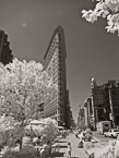 Flat Iron, New York #YNL-393.  Infrared Photograph,  Stretched and Gallery Wrapped, Limited Edition Archival Print on Canvas:  40 x 56 inches, $1590.  Custom Proportions and Sizes are Available.  For more information or to order please visit our ABOUT page or call us at 561-691-1110.