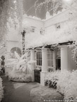 Garden , Capri Italy #YNL-409.  Infrared Photograph,  Stretched and Gallery Wrapped, Limited Edition Archival Print on Canvas:  40 x 56 inches, $1590.  Custom Proportions and Sizes are Available.  For more information or to order please visit our ABOUT page or call us at 561-691-1110.