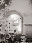 Garden , Capri Italy #YNL-411.  Infrared Photograph,  Stretched and Gallery Wrapped, Limited Edition Archival Print on Canvas:  40 x 56 inches, $1590.  Custom Proportions and Sizes are Available.  For more information or to order please visit our ABOUT page or call us at 561-691-1110.