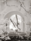 Garden , Capri Italy #YNL-412.  Infrared Photograph,  Stretched and Gallery Wrapped, Limited Edition Archival Print on Canvas:  40 x 50 inches, $1560.  Custom Proportions and Sizes are Available.  For more information or to order please visit our ABOUT page or call us at 561-691-1110.