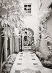 Via , Palm Beach #YNL-054.  Infrared Photograph,  Stretched and Gallery Wrapped, Limited Edition Archival Print on Canvas:  40 x 60 inches, $1590.  Custom Proportions and Sizes are Available.  For more information or to order please visit our ABOUT page or call us at 561-691-1110.