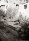 Tropical Garden, Palm Beach #YNL-075.  Infrared Photograph,  Stretched and Gallery Wrapped, Limited Edition Archival Print on Canvas:  40 x 60 inches, $1590.  Custom Proportions and Sizes are Available.  For more information or to order please visit our ABOUT page or call us at 561-691-1110.