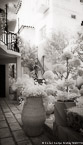 Tropical Garden, Palm Beach #YNL-077.  Infrared Photograph,  Stretched and Gallery Wrapped, Limited Edition Archival Print on Canvas:  40 x 68 inches, $1620.  Custom Proportions and Sizes are Available.  For more information or to order please visit our ABOUT page or call us at 561-691-1110.