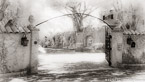 Gate , Palm Beach #YNL-113.  Infrared Photograph,  Stretched and Gallery Wrapped, Limited Edition Archival Print on Canvas:  72 x 40 inches, $1620.  Custom Proportions and Sizes are Available.  For more information or to order please visit our ABOUT page or call us at 561-691-1110.