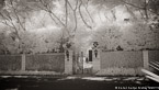 Gate , Palm Beach #YNL-116.  Infrared Photograph,  Stretched and Gallery Wrapped, Limited Edition Archival Print on Canvas:  72 x 40 inches, $1620.  Custom Proportions and Sizes are Available.  For more information or to order please visit our ABOUT page or call us at 561-691-1110.