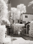 Via , Palm Beach #YNL-196.  Infrared Photograph,  Stretched and Gallery Wrapped, Limited Edition Archival Print on Canvas:  40 x 56 inches, $1590.  Custom Proportions and Sizes are Available.  For more information or to order please visit our ABOUT page or call us at 561-691-1110.