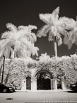 Gate , Palm Beach #YNL-200.  Infrared Photograph,  Stretched and Gallery Wrapped, Limited Edition Archival Print on Canvas:  40 x 56 inches, $1590.  Custom Proportions and Sizes are Available.  For more information or to order please visit our ABOUT page or call us at 561-691-1110.