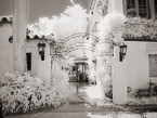 Via , Palm Beach #YNL-205.  Infrared Photograph,  Stretched and Gallery Wrapped, Limited Edition Archival Print on Canvas:  56 x 40 inches, $1590.  Custom Proportions and Sizes are Available.  For more information or to order please visit our ABOUT page or call us at 561-691-1110.