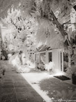 Via , Palm Beach #YNL-217.  Infrared Photograph,  Stretched and Gallery Wrapped, Limited Edition Archival Print on Canvas:  40 x 56 inches, $1590.  Custom Proportions and Sizes are Available.  For more information or to order please visit our ABOUT page or call us at 561-691-1110.