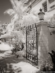 Via , Palm Beach #YNL-226.  Infrared Photograph,  Stretched and Gallery Wrapped, Limited Edition Archival Print on Canvas:  40 x 56 inches, $1590.  Custom Proportions and Sizes are Available.  For more information or to order please visit our ABOUT page or call us at 561-691-1110.