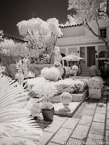Via , Palm Beach #YNL-238.  Infrared Photograph,  Stretched and Gallery Wrapped, Limited Edition Archival Print on Canvas:  40 x 56 inches, $1590.  Custom Proportions and Sizes are Available.  For more information or to order please visit our ABOUT page or call us at 561-691-1110.