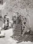Via , Palm Beach #YNL-239.  Infrared Photograph,  Stretched and Gallery Wrapped, Limited Edition Archival Print on Canvas:  40 x 56 inches, $1590.  Custom Proportions and Sizes are Available.  For more information or to order please visit our ABOUT page or call us at 561-691-1110.
