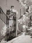 Via , Palm Beach #YNL-242.  Infrared Photograph,  Stretched and Gallery Wrapped, Limited Edition Archival Print on Canvas:  40 x 56 inches, $1590.  Custom Proportions and Sizes are Available.  For more information or to order please visit our ABOUT page or call us at 561-691-1110.