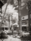 Via , Palm Beach #YNL-253.  Infrared Photograph,  Stretched and Gallery Wrapped, Limited Edition Archival Print on Canvas:  40 x 56 inches, $1590.  Custom Proportions and Sizes are Available.  For more information or to order please visit our ABOUT page or call us at 561-691-1110.