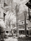 Via , Palm Beach #YNL-254.  Infrared Photograph,  Stretched and Gallery Wrapped, Limited Edition Archival Print on Canvas:  40 x 56 inches, $1590.  Custom Proportions and Sizes are Available.  For more information or to order please visit our ABOUT page or call us at 561-691-1110.