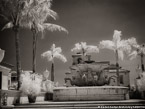 Fountain , Palm Beach #YNL-262.  Infrared Photograph,  Stretched and Gallery Wrapped, Limited Edition Archival Print on Canvas:  56 x 40 inches, $1590.  Custom Proportions and Sizes are Available.  For more information or to order please visit our ABOUT page or call us at 561-691-1110.