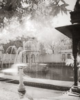Tropical Garden, Udaipur India #YNL-839.  Infrared Photograph,  Stretched and Gallery Wrapped, Limited Edition Archival Print on Canvas:  40 x 50 inches, $1560.  Custom Proportions and Sizes are Available.  For more information or to order please visit our ABOUT page or call us at 561-691-1110.
