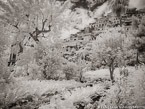 Garden Walkway, Positano Italy #YNL-870.  Infrared Photograph,  Stretched and Gallery Wrapped, Limited Edition Archival Print on Canvas:  56 x 40 inches, $1590.  Custom Proportions and Sizes are Available.  For more information or to order please visit our ABOUT page or call us at 561-691-1110.