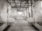 Garden Walkway, Capri Italy #YNL-874.  Infrared Photograph,  Stretched and Gallery Wrapped, Limited Edition Archival Print on Canvas:  56 x 40 inches, $1590.  Custom Proportions and Sizes are Available.  For more information or to order please visit our ABOUT page or call us at 561-691-1110.