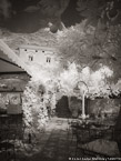 Garden , Positano Italy #YNL-897.  Infrared Photograph,  Stretched and Gallery Wrapped, Limited Edition Archival Print on Canvas:  40 x 56 inches, $1590.  Custom Proportions and Sizes are Available.  For more information or to order please visit our ABOUT page or call us at 561-691-1110.