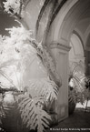 Garden , Positano Italy #YNL-898.  Infrared Photograph,  Stretched and Gallery Wrapped, Limited Edition Archival Print on Canvas:  40 x 60 inches, $1590.  Custom Proportions and Sizes are Available.  For more information or to order please visit our ABOUT page or call us at 561-691-1110.