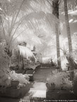 Garden , Positano Italy #YNL-899.  Infrared Photograph,  Stretched and Gallery Wrapped, Limited Edition Archival Print on Canvas:  40 x 56 inches, $1590.  Custom Proportions and Sizes are Available.  For more information or to order please visit our ABOUT page or call us at 561-691-1110.