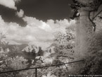 Vista , Capri Italy #YNL-917.  Infrared Photograph,  Stretched and Gallery Wrapped, Limited Edition Archival Print on Canvas:  56 x 40 inches, $1590.  Custom Proportions and Sizes are Available.  For more information or to order please visit our ABOUT page or call us at 561-691-1110.