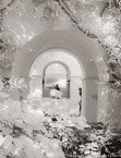Garden , Capri Italy #YNL-922.  Infrared Photograph,  Stretched and Gallery Wrapped, Limited Edition Archival Print on Canvas:  40 x 56 inches, $1590.  Custom Proportions and Sizes are Available.  For more information or to order please visit our ABOUT page or call us at 561-691-1110.