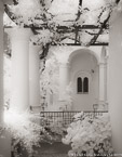 Garden , Capri Italy #YNL-928.  Infrared Photograph,  Stretched and Gallery Wrapped, Limited Edition Archival Print on Canvas:  40 x 56 inches, $1590.  Custom Proportions and Sizes are Available.  For more information or to order please visit our ABOUT page or call us at 561-691-1110.