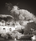 Garden , Capri Italy #YNL-931.  Infrared Photograph,  Stretched and Gallery Wrapped, Limited Edition Archival Print on Canvas:  40 x 44 inches, $1530.  Custom Proportions and Sizes are Available.  For more information or to order please visit our ABOUT page or call us at 561-691-1110.