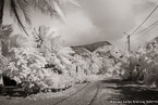 Tropical Road, Tahiti  #YNL-568.  Infrared Photograph,  Stretched and Gallery Wrapped, Limited Edition Archival Print on Canvas:  60 x 40 inches, $1590.  Custom Proportions and Sizes are Available.  For more information or to order please visit our ABOUT page or call us at 561-691-1110.